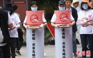 fofa足球世界可以换场地吗，flfa足球世界更换球场